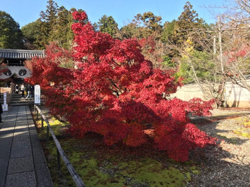 光明寺　総門前